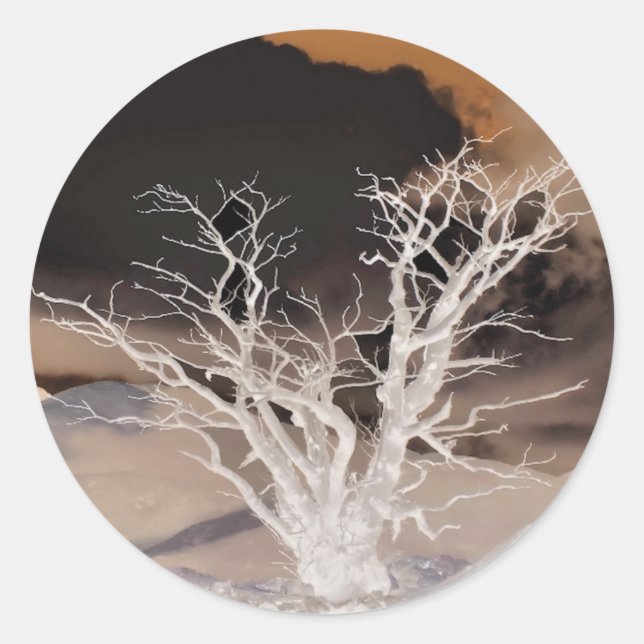 MOUNTAIN WINTER RUNT KLISTERMÄRKE (Framsida)