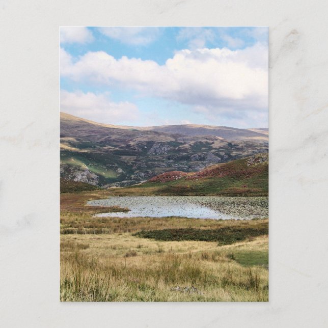 MOUNTAINER VYKORT (Framsida)