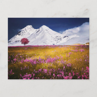 MOUNTAINS FIELD FLOWERS LANDSCAPE POSTCROSSING VYKORT