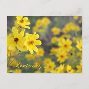 Mountainside Wildblommor av JerseyFawn Vykort