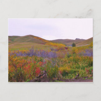 Mountian Färg Vykort