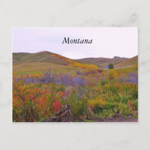 Mountian Färger, Montana Vykort