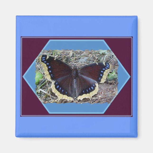 Mourak Cloak Butterfly Magnet (Framsidan)