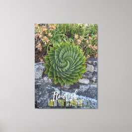 Mourish där du är planterad med spiral aloe granit canvastryck