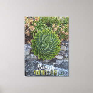 Mourish där du är planterad med spiral aloe granit canvastryck