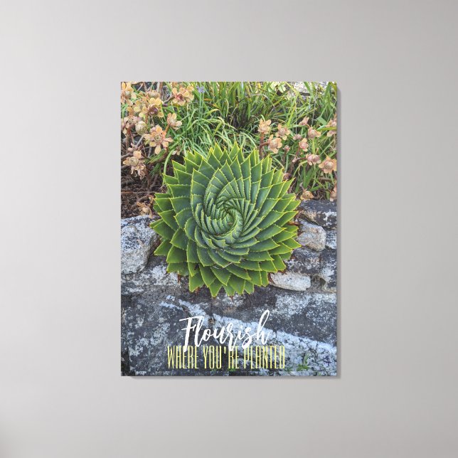 Mourish där du är planterad med spiral aloe granit canvastryck (Framsida)