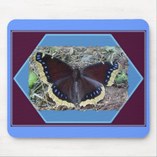 Mourning Cloak Butterfly Mousepad Musmatta