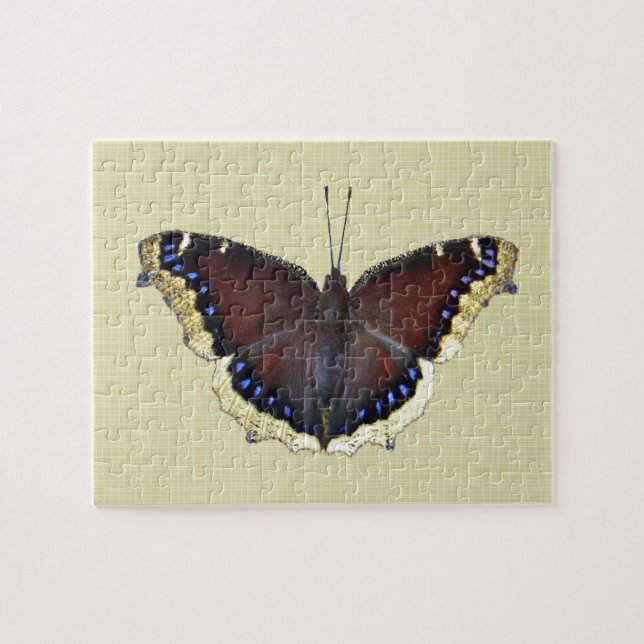 Mourning Cloak Butterfly - Nymphalis antiopa Pussel (Horisontell)