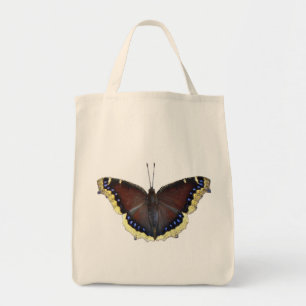Mourning Cloak Butterfly - Nymphalis antiopa Tygkasse