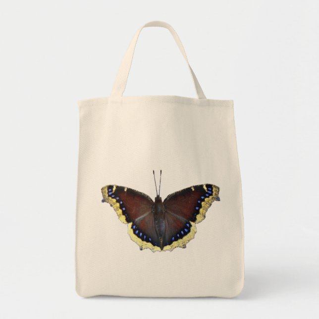 Mourning Cloak Butterfly - Nymphalis antiopa Tygkasse (Framsidan)