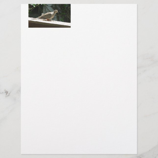 Mourning Dove (Framsida)