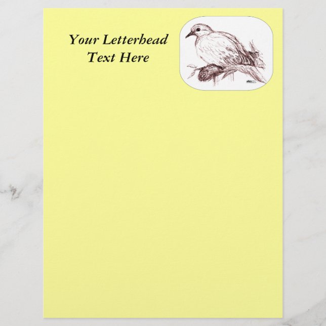 Mourning Dove Baby (Framsida)