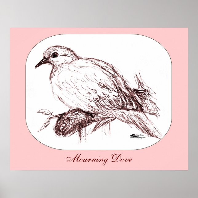 Mourning Dove Baby Poster (Framsidan)