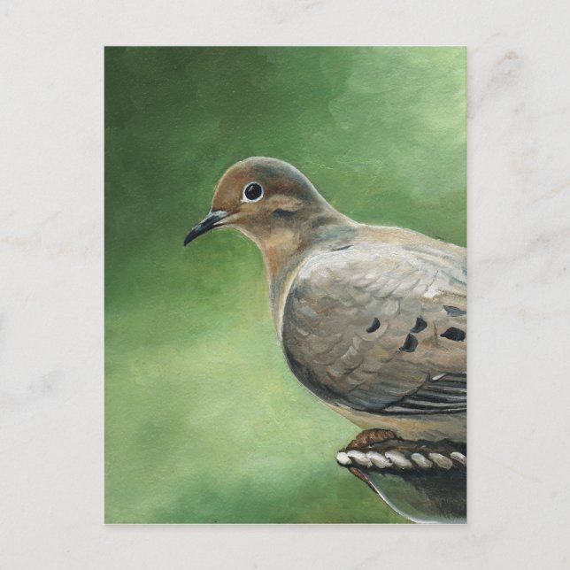 Mourning Dove Bird Art Postcard Vykort (Framsida)