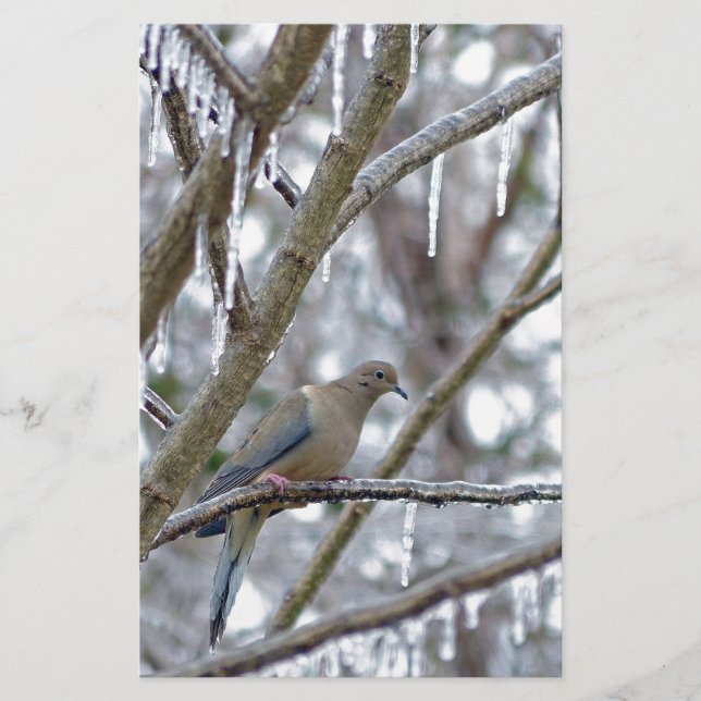 Mourning Dove Brevpapper (Framsida)