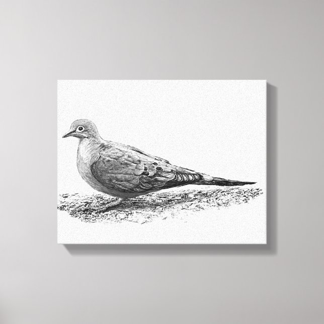 Mourning Dove Canvastryck (Framsida)