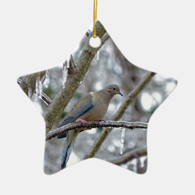 Mourning Dove Ceramic Ornament (Framsidan)