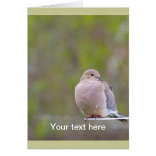 Mourning Dove Hälsningskort