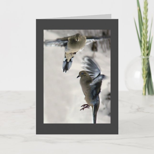 Mourning Dove Helgkort (Framsida)