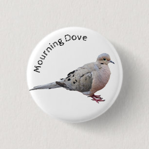 Mourning Dove Knapp