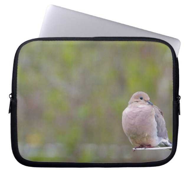 Mourning Dove Laptop Sleeve (Framsidan)