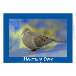 Mourning Dove OBS Kort