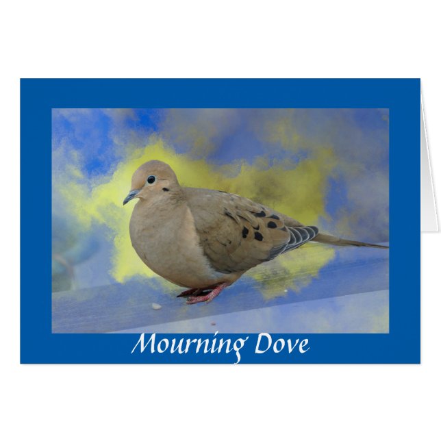 Mourning Dove OBS Kort (Framsidan Horizontal)