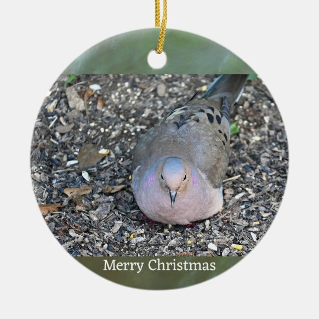 Mourning Dove Photo Ornament (Framsidan)
