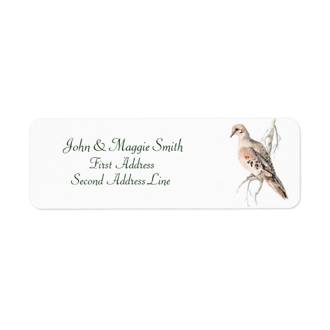 Mourning Dove/ Turtle dove, Bird, Address Label Returadress Etikett (Framsidan)