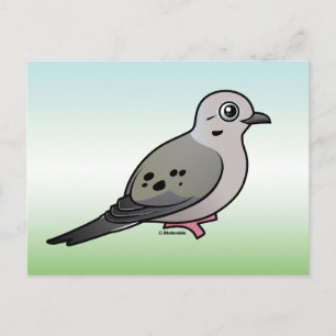 Mourning Dove Vykort