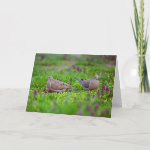 Mourning Doves in Grass Loss loss of Twin Sympathy Kort