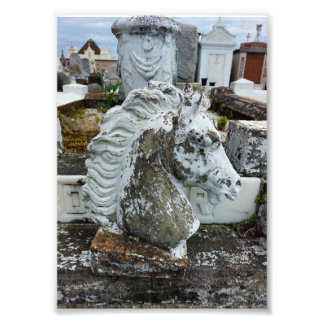 Mourning Horse Fototryck