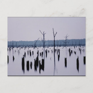 "Mourning Morgon" - vykort