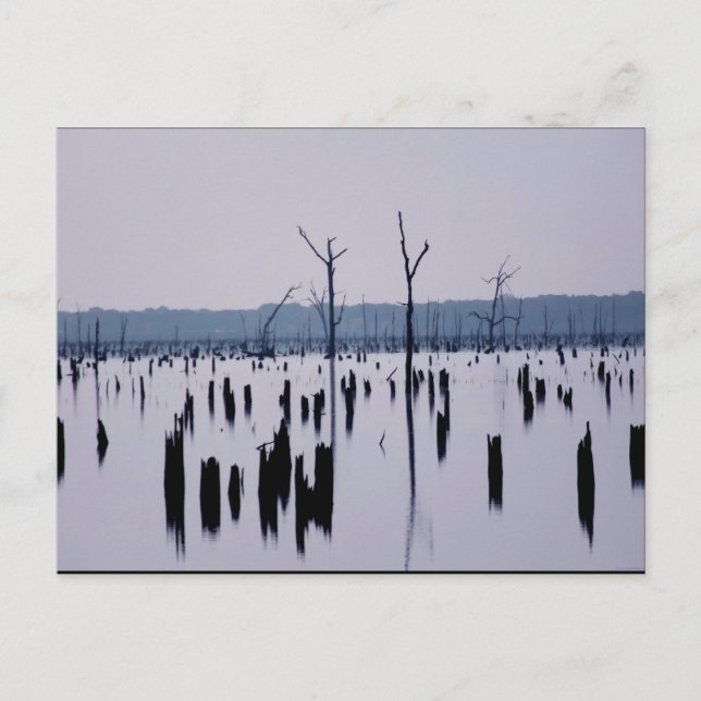 "Mourning Morgon" - vykort (Framsida)