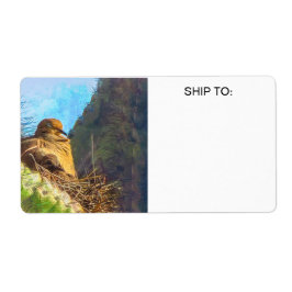 Mourve Female med Baby Saguaro Cactus Nest Fraktsedel