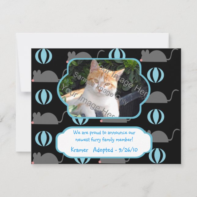 Mouse Boy Cat Adoption Photo Announcement Cards Meddelande (Framsida)