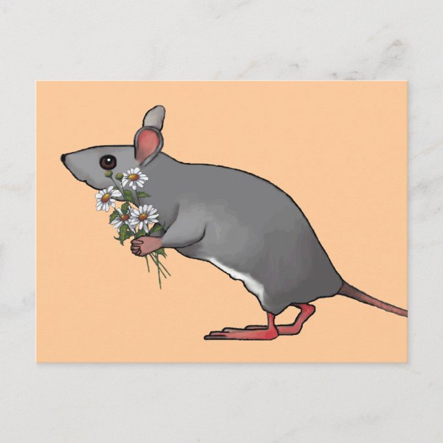 Mouse BringFlowers, Daisy: Art Vykort (Framsida)