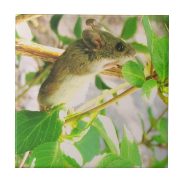 Mouse Ceramic Tile Kakelplatta (Framsidan)