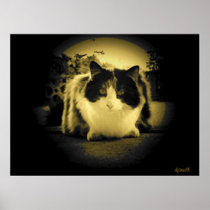 Mouse öga-vy poster