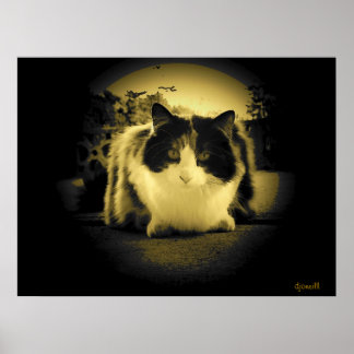 Mouse öga-vy poster