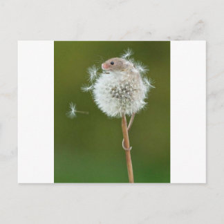 Mouse Önskemål Vykort