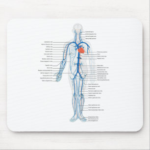 Mouse Pad Arterial System Veins Human Circulary Musmatta