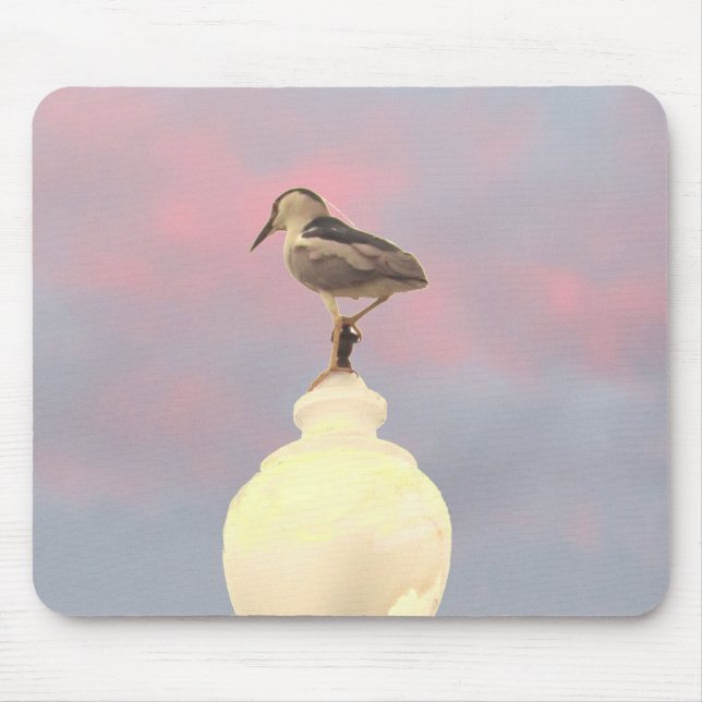Mouse Pad - Black-Crowned Night-Heron Musmatta (Framsidan)