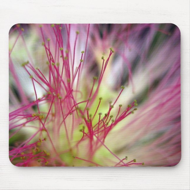 Mouse Pad - Blommarna Silke Träd (Mimosa Träd) Musmatta (Framsidan)