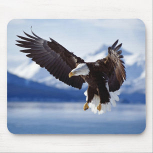 Mouse Pad-Eagle Musmatta