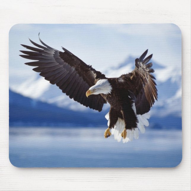 Mouse Pad-Eagle Musmatta (Framsidan)