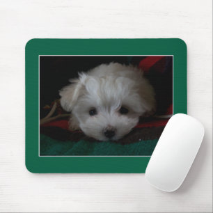 Mouse Pad för maltesisk marionett Ögon Musmatta