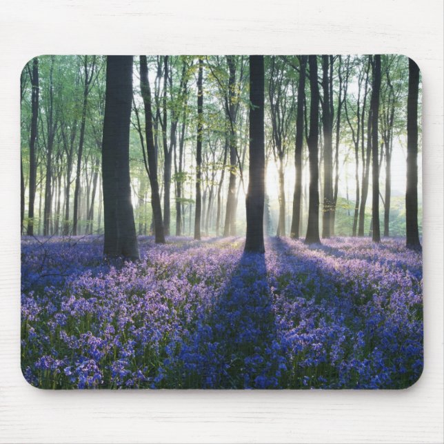 Mouse Pad-Forest Musmatta (Framsidan)