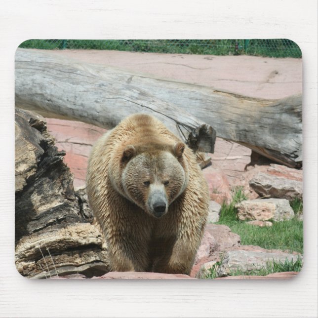 Mouse Pad Grizzly-björnar i South Dakota Musmatta (Framsidan)