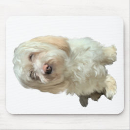 Mouse Pad Havanese Hund Musmatta